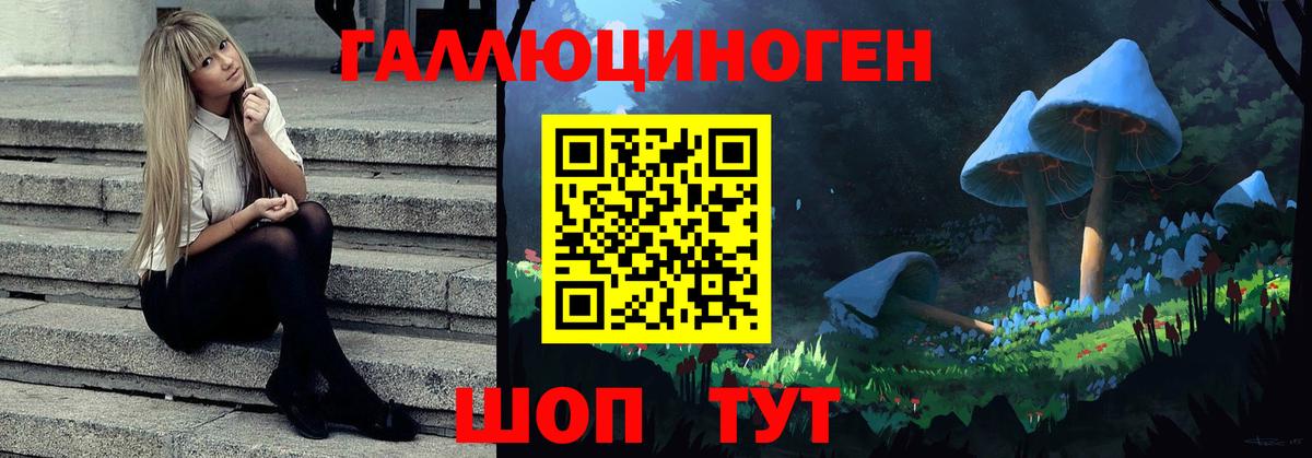Псилоцибиновые грибы Psilocybe Бахчисарай